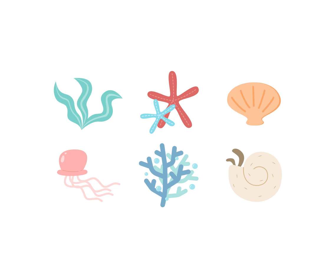 1136x936 Free Coral Reef Vectors Vector Art Graphics