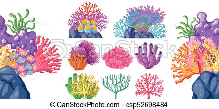 Reef Vector at Vectorified.com | Collection of Reef Vector free for ...