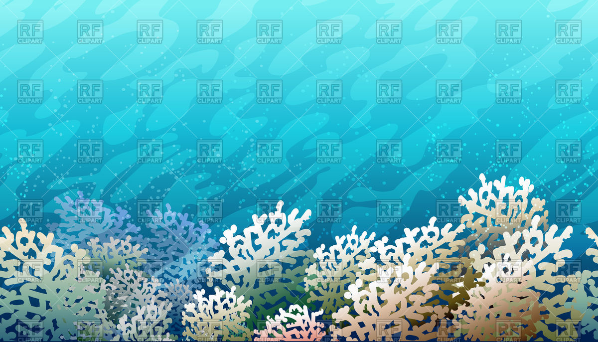 1200x686 Horizontal Colorful Seamless Background With Coral Reef Vector