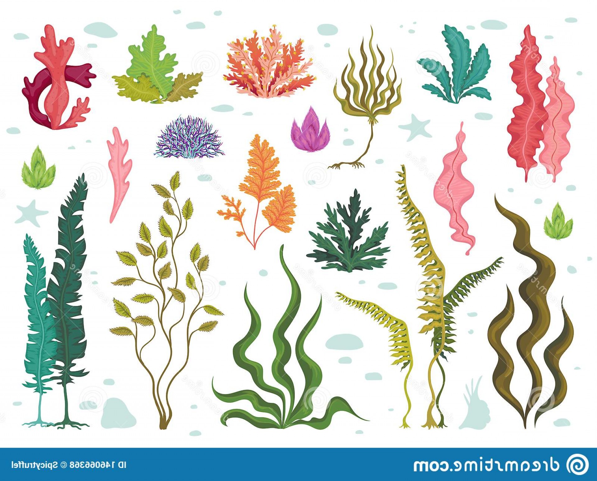 1920x1546 Roman Reef Vectors Sarahgardan