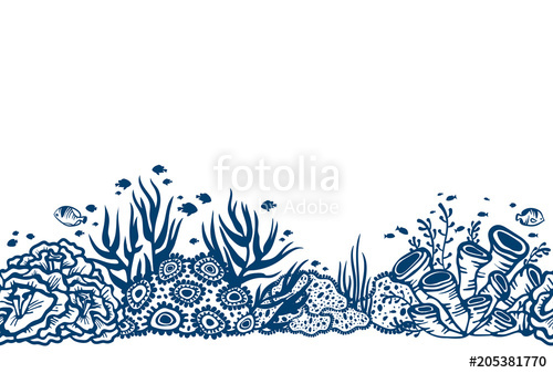 500x337 Seamless Vector With Coral Reef Stock Image And Royalty Free