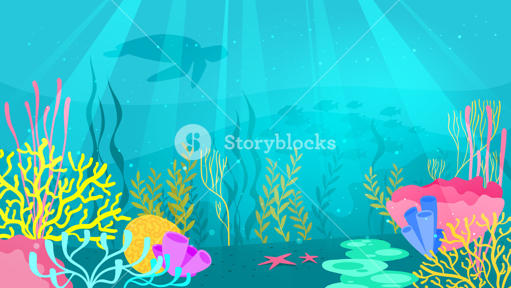 1000x563 Vector Cartoon Style Underwater Background With Sea Flora