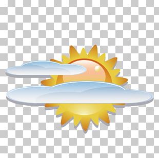 310x308 Reflection Vector Png Images, Reflection Vector Clipart Free Download