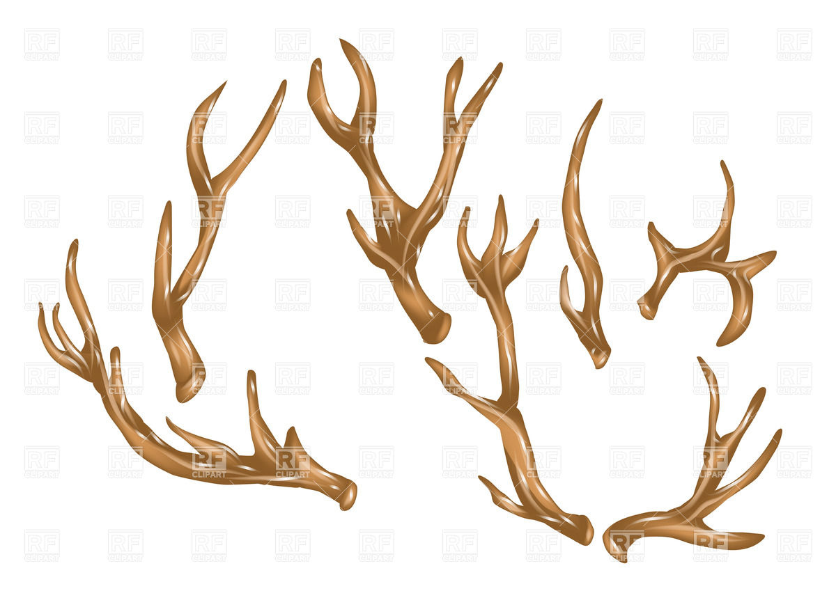 Reindeer Antlers Vector at Collection of