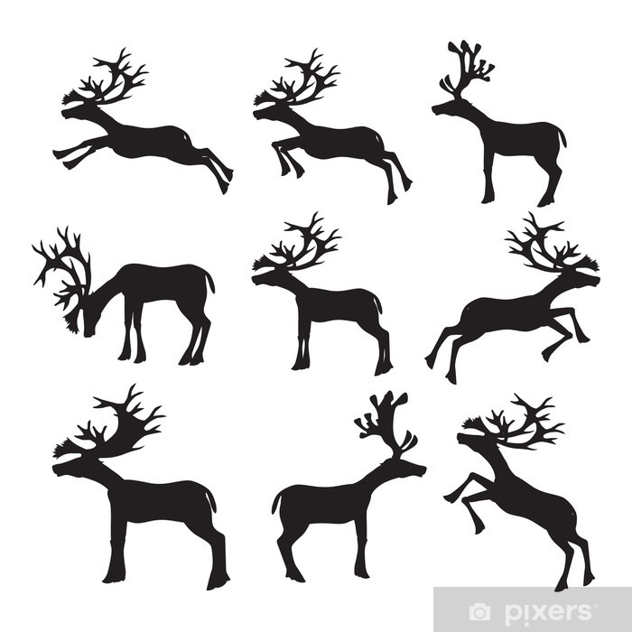 Collection Of Reindeer Silhouette Vector Illustration Wall Mural 700x700 Collection Of Reindeer Silhouette Vector Illustration Wall Mural