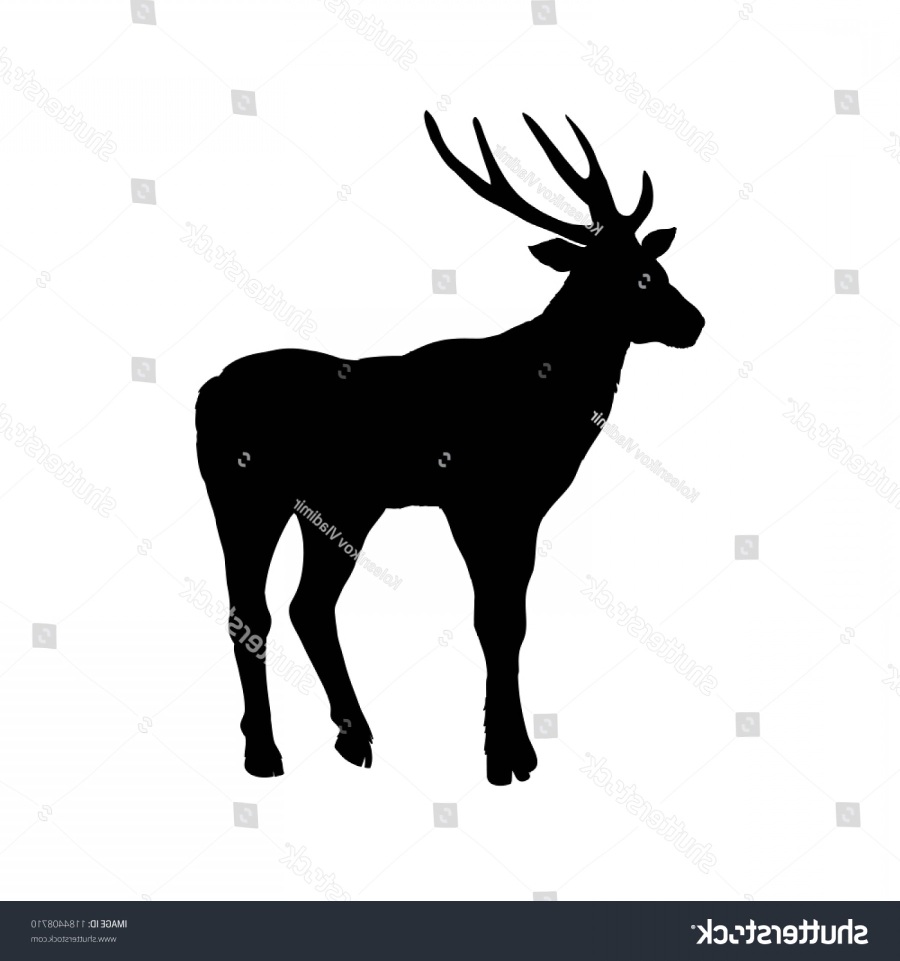 1800x1920 Deer Silhouettes Vector Illustration Isolated On Handandbeak