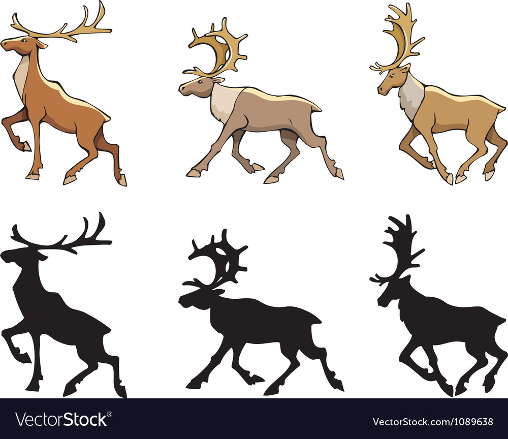 1000x864 Reindeer Vector