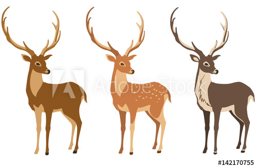 500x328 A Set Of Deer For Your Design Deer, Sika Deer And Reindeer