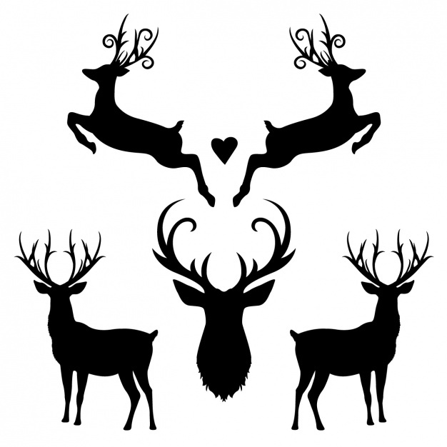 626x626 Deer Vectors, Photos And Free Download
