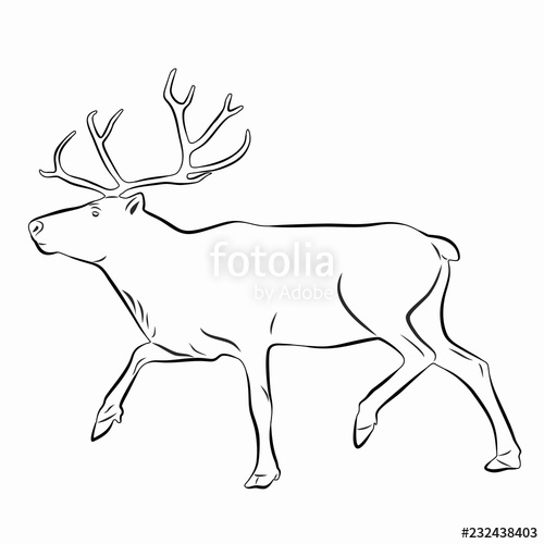500x500 Illustration Of A Reindeer Vector Drawing Stock Image