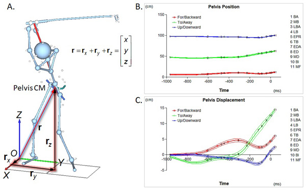 600x373 Scalar Vs Vector