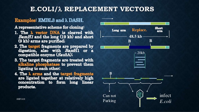 Vectors 638x359 Vectors