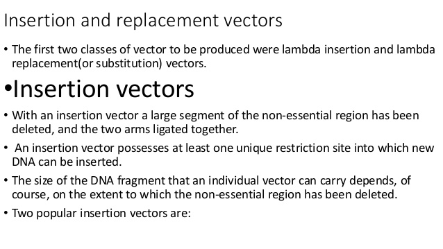 Lambda Cloning Vector 638x359 Lambda Cloning Vector