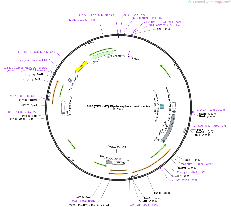 Addgene 914x818 Addgene