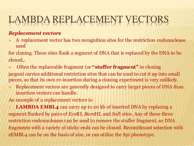 Bacteriophage Vectors 638x479 Bacteriophage Vectors