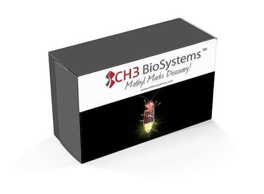 537x395 Pluc Reporter Vector Biosystems