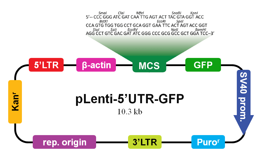 1000x600 Custom Utr Reporter Vector Abm Inc