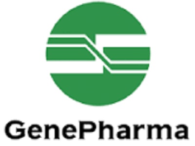 400x300 Dual Luciferase Reporter Vector