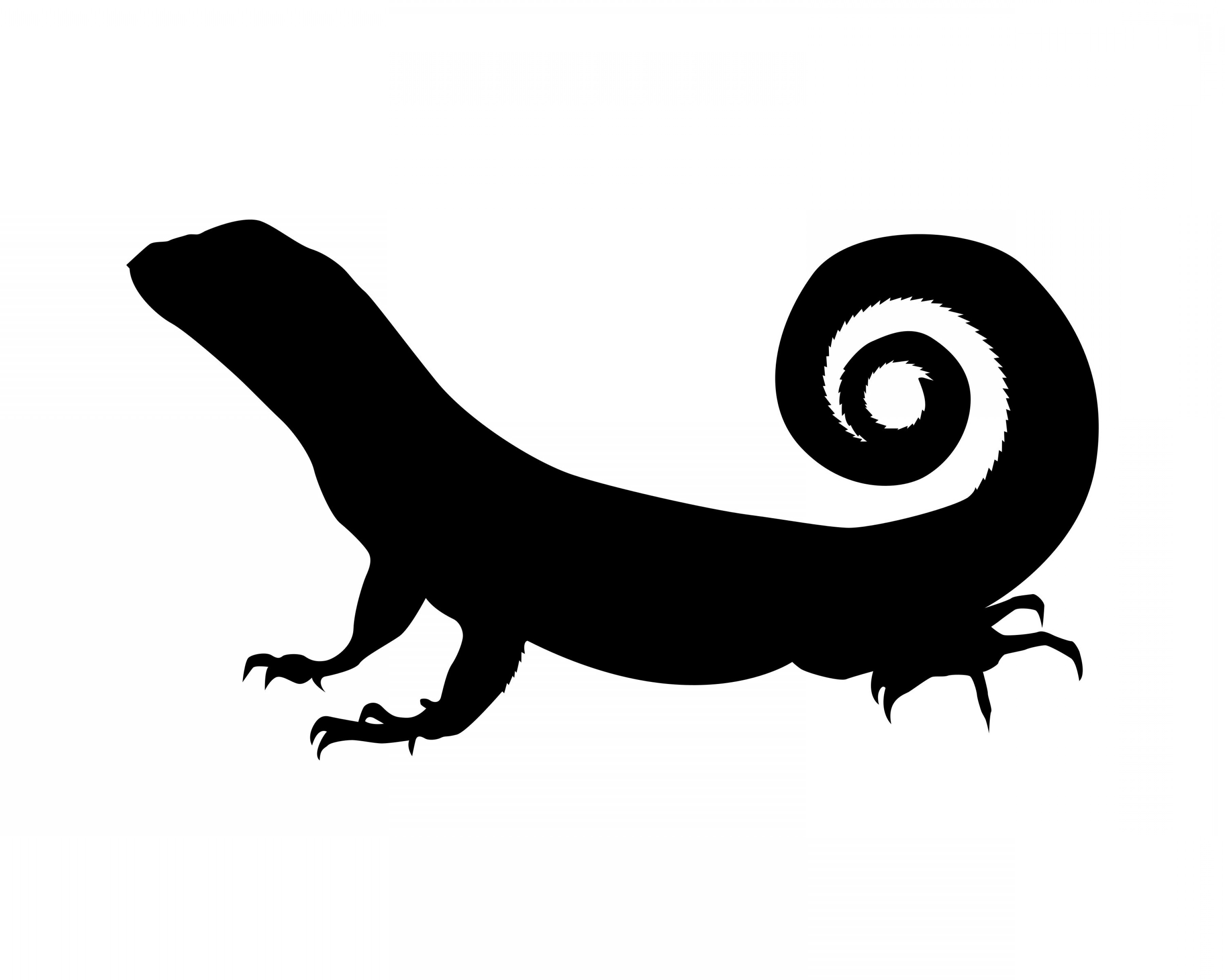 3600x2880 Lizard Silhouette Vector Art And Newwaysys
