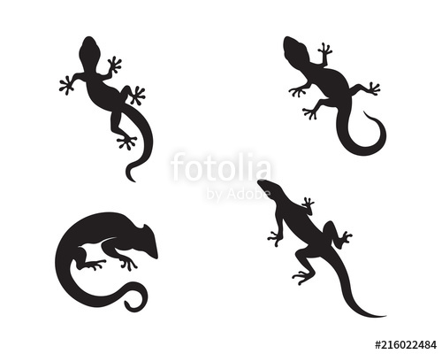 500x400 Lizard Vector, Design, Animal, And Reptile, Gecko Stock Image