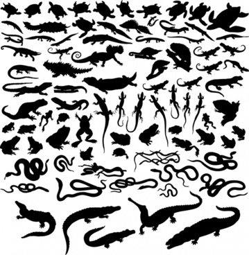359x368 Reptile Vector Free Vector Download