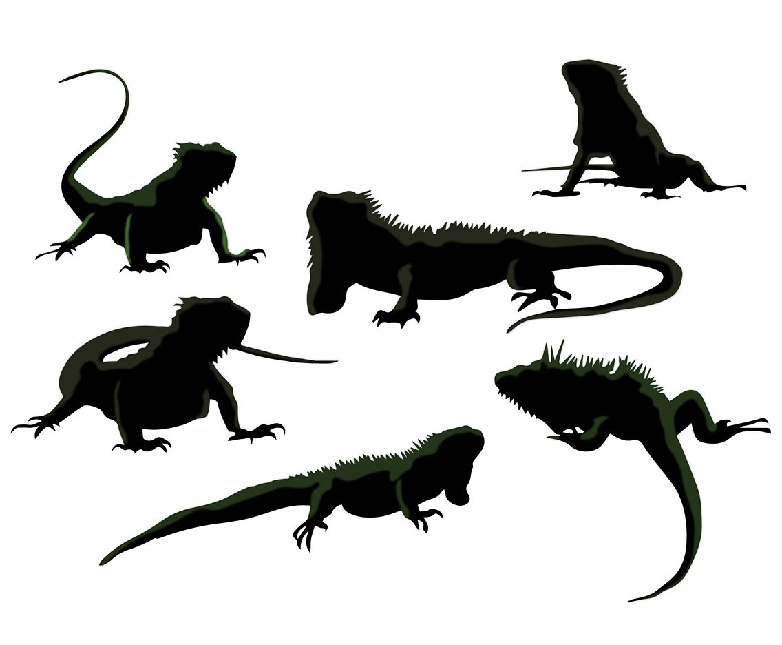 1136x936 Silhouette Iguana Vectors Vector Art Graphics
