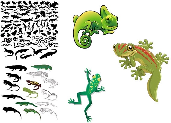 567x408 Vector Reptiles Free Vector In Encapsulated Postscript
