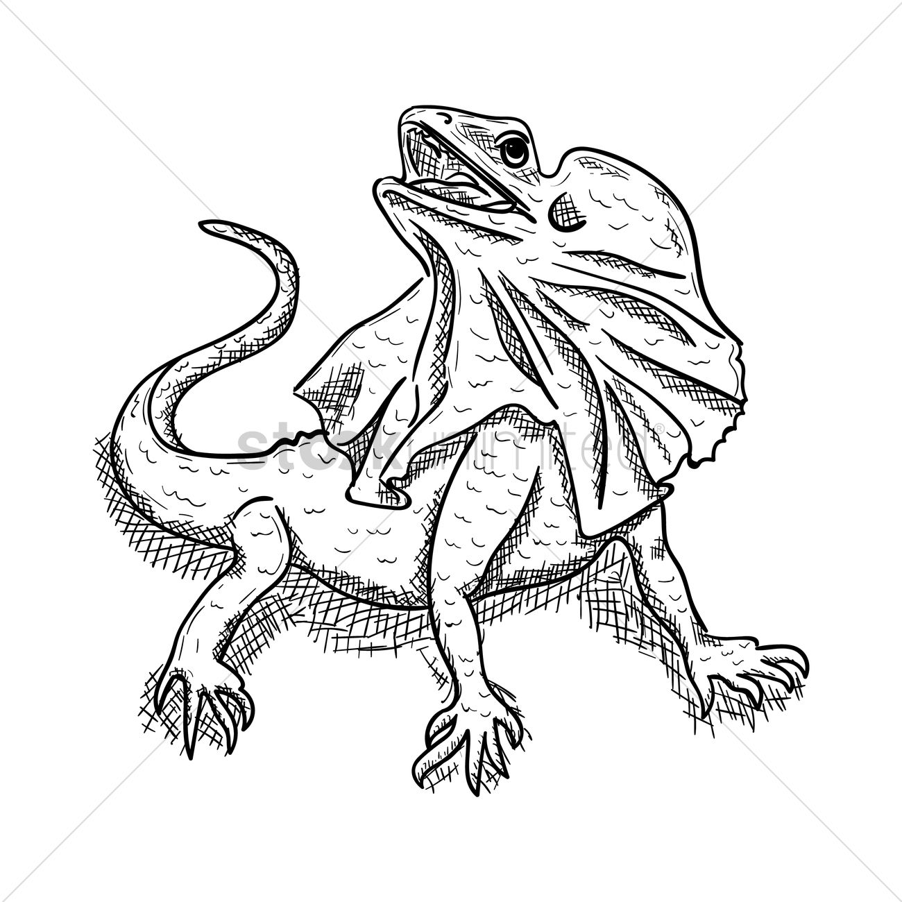 1300x1300 Frilled Lizard Vector Image