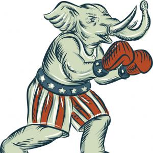 300x300 Republican Elephant Boxer Mascot Isolated Etching Vector Catchsplace