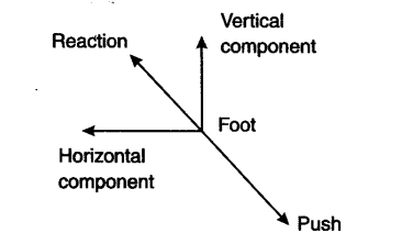Resolution Of Vector at Vectorified.com | Collection of Resolution Of ...