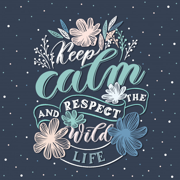 626x626 Keep Calm And Respect The Wildlife