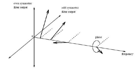 550x291 Phase And Amplitude Of The Response Vector