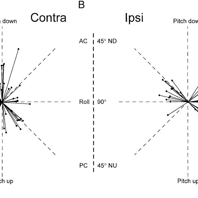 640x640 Response Vector Orientations
