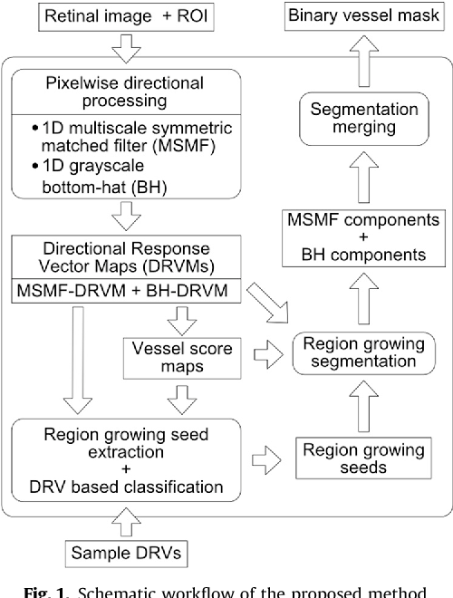 500x660 Segmentation Of Retinal Vessels
