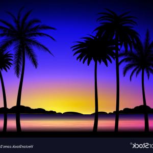 Photostock Vector Retro Style Tropical Sunset With Palm Tree 300x300 Photostock Vector Retro Style Tropical Sunset With Palm Tree