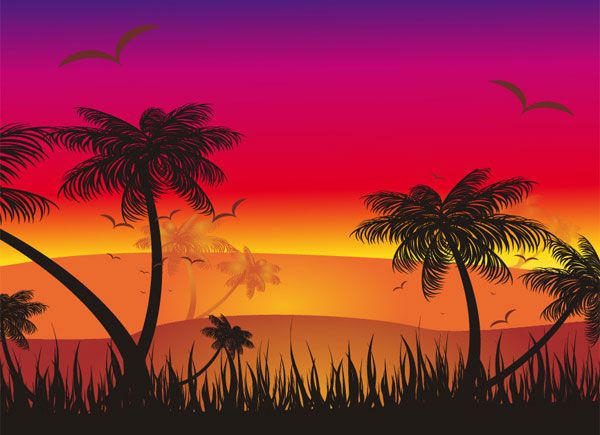 Tropical Sunset Vector Cancer's A Beach Sunset Silhouette 600x435 Tropical Sunset Vector Cancer's A Beach Sunset Silhouette