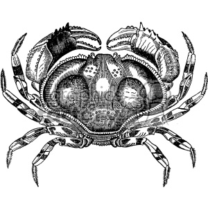 300x300 Old Vintage Distressed Blue Crab Retro Vector Design Vintage