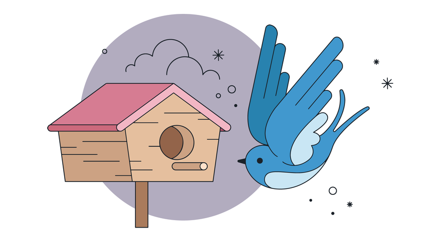 871x490 Swallow Return Vector