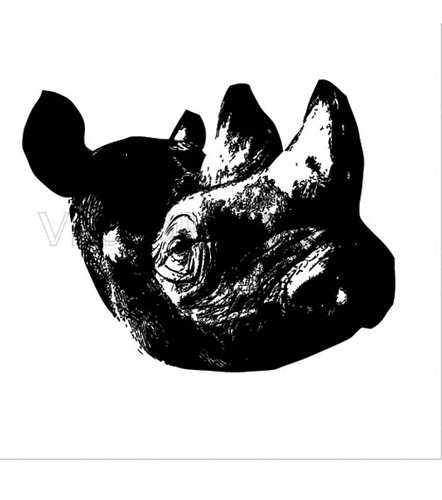 Rhino Head Vector
