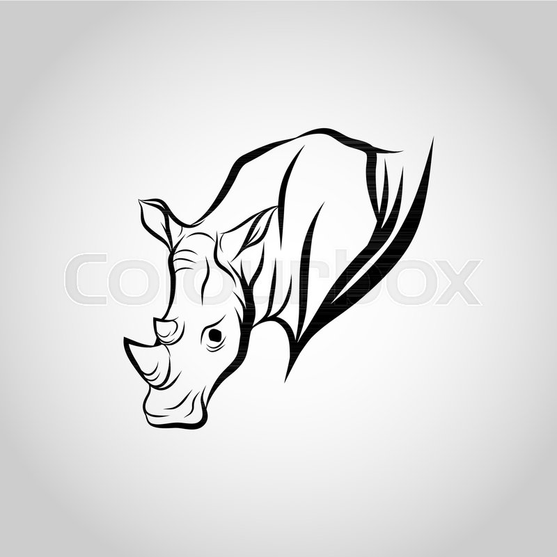 800x800 Rhinoceros Head Vector, Illustration Stock Vector Colourbox