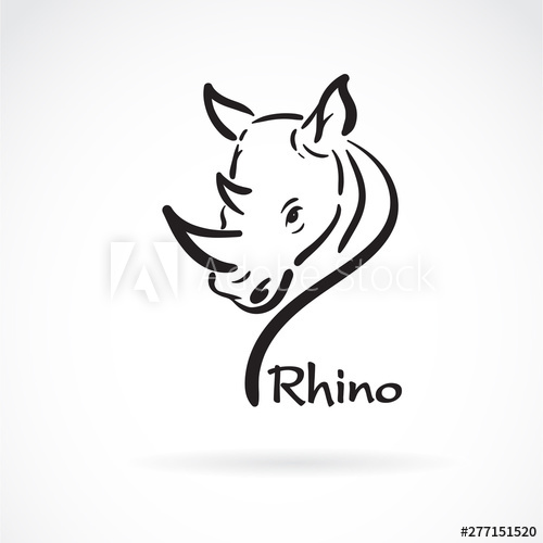 500x500 Vector Of Freehand Rhino Head Painting On White Background Wild