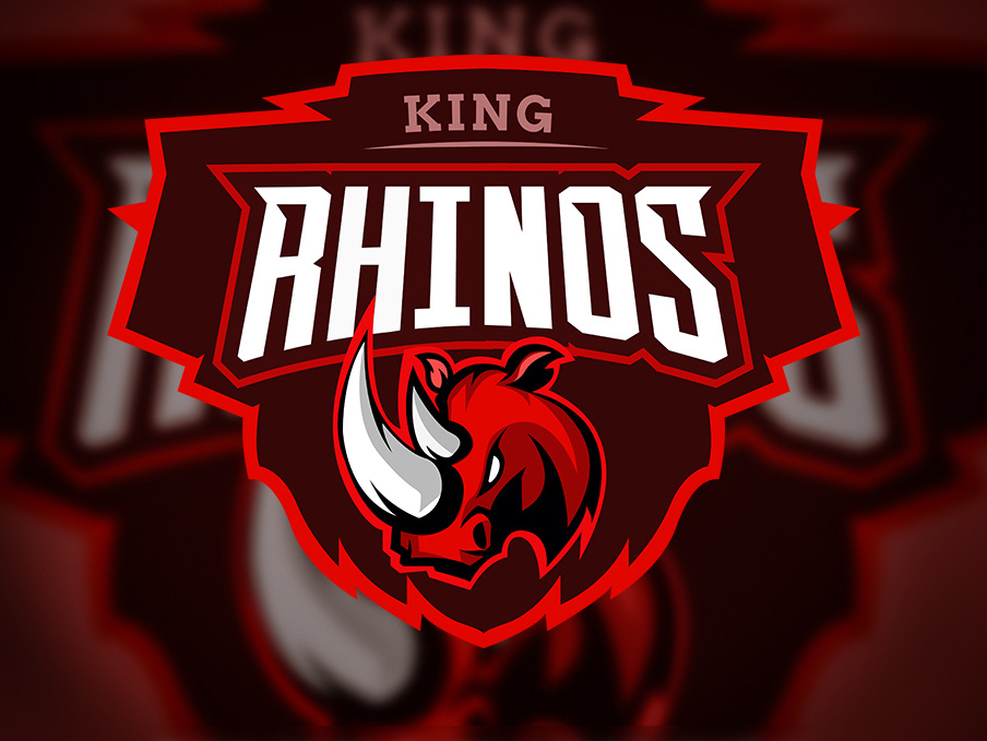 904x679 King Rhino Logo Design