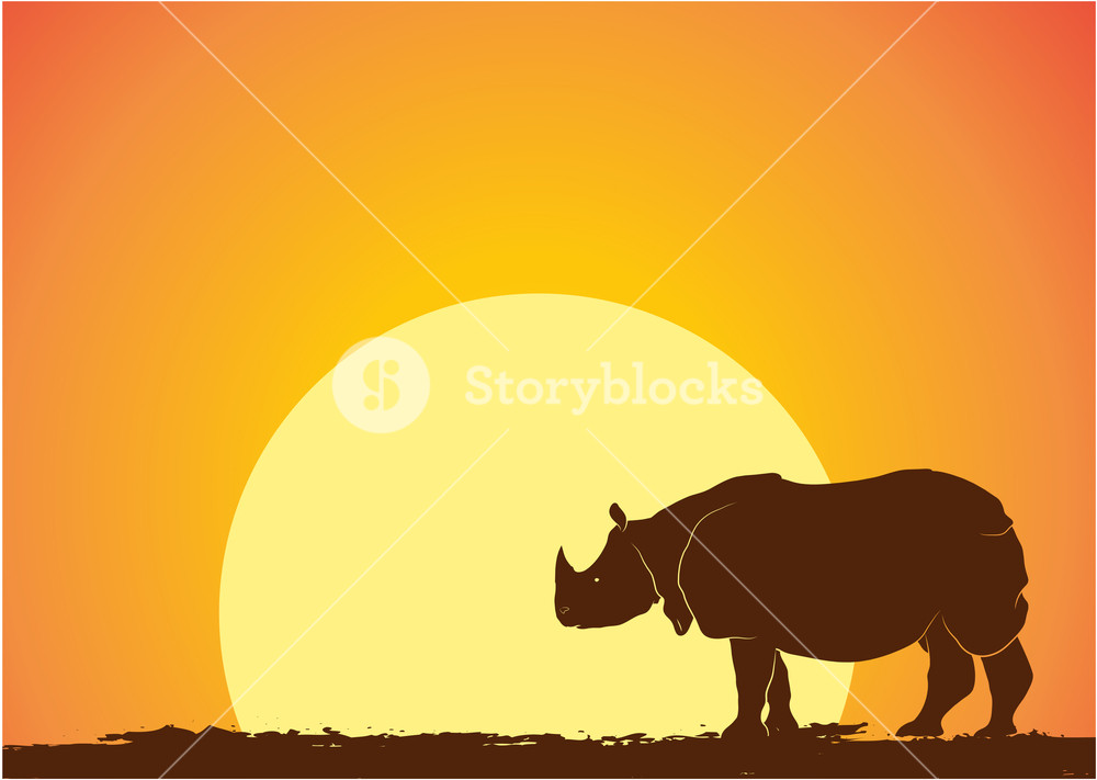 1000x711 Rhino Silhouette In Morning Sun Light Vector Royalty Free Stock