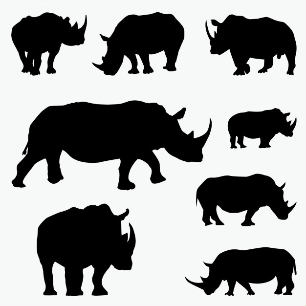 626x626 Rhino Silhouette Vector Premium Download
