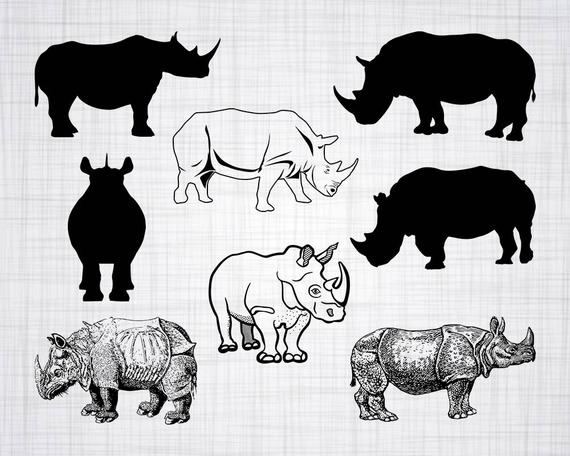570x456 Rhino Bundle Rhino Rhino Clipart For Etsy