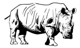 333x200 Rhinoceros Free Vector Art