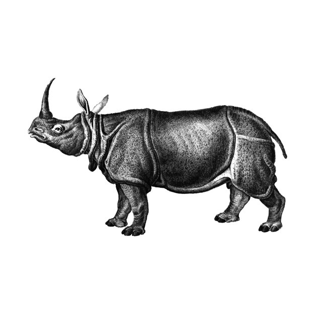 rhino materials free download
