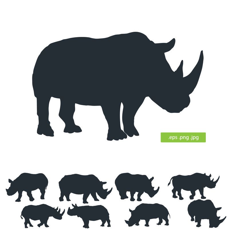 800x800 Silhouette Rhino Vector