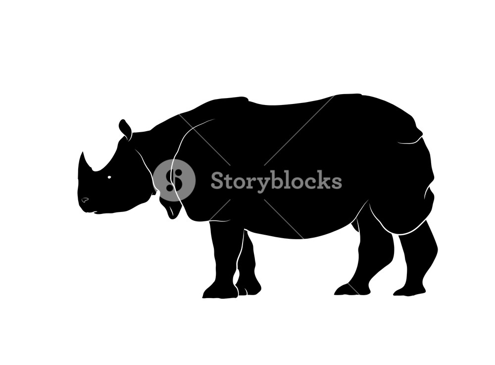 1000x737 Rhino Silhouette Vector Royalty Free Stock Image