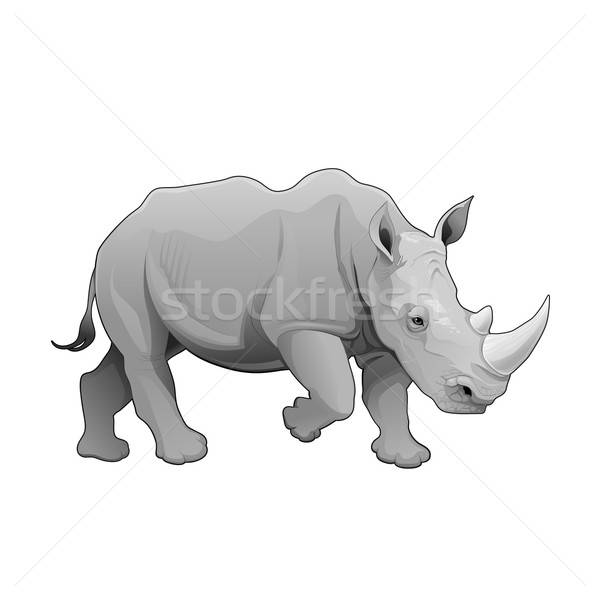 600x600 Rhinoceros Vector Illustration Danilo Sanino